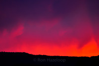 Black Forest Fiery Sunset