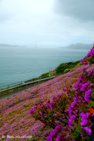 Golden Gate Bridge from Alcatraz